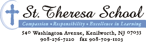 STS_Logo